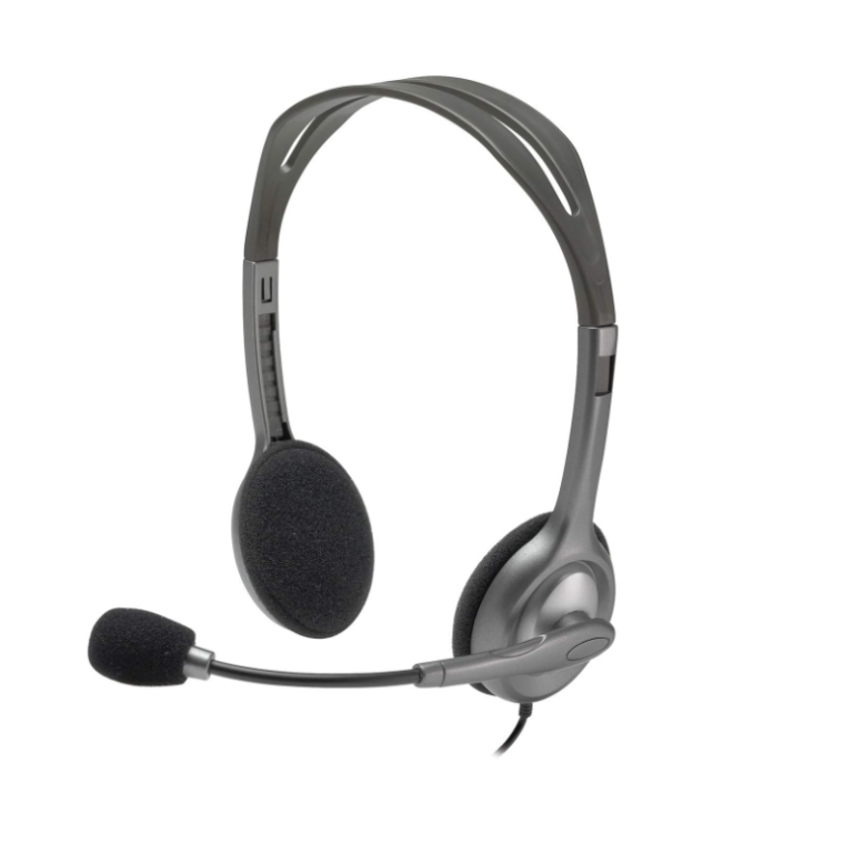 Logitech H110 Stereo Headset