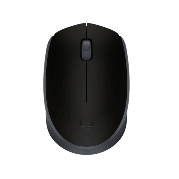 Logitech M170