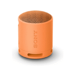 Sony SRS-XB100 Portable Bluetooth Speaker
